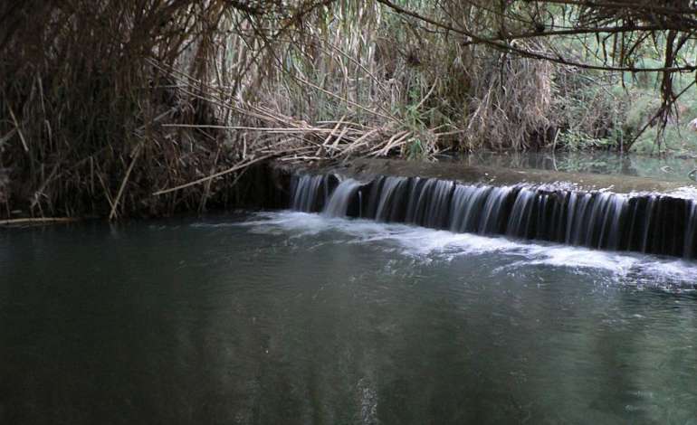 Terme Segestane